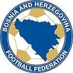 波黑女足logo